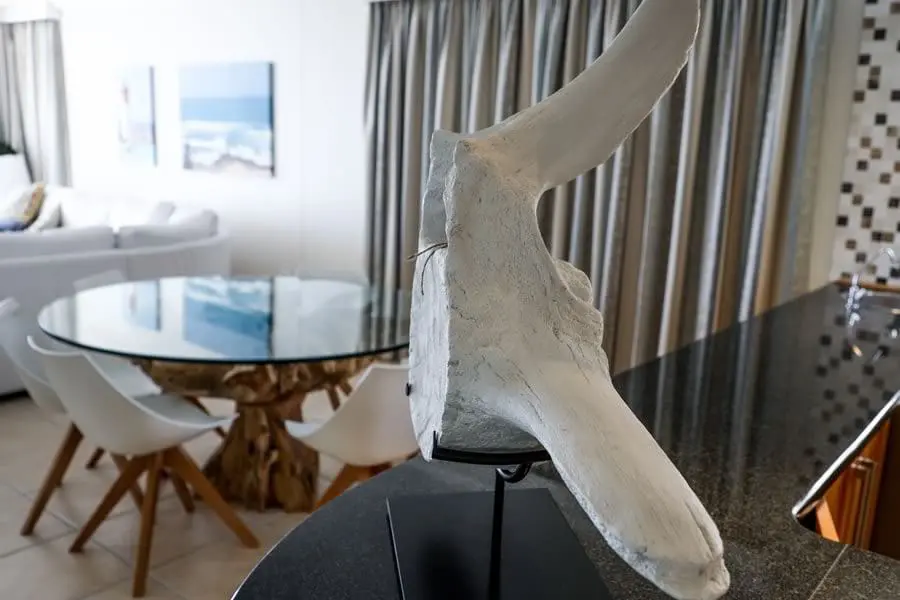 Casa Playa No5 - Living and Leisure Area